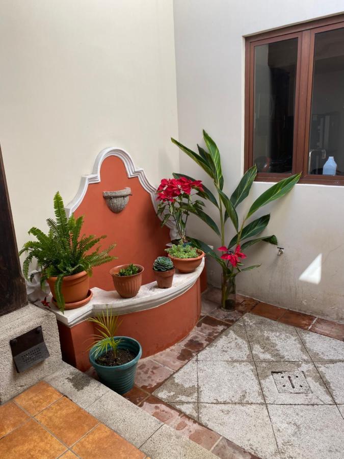 Suite Don Pedro: Hermoso Loft Con Parqueo Gratis! Антигуа-Гватемала Экстерьер фото